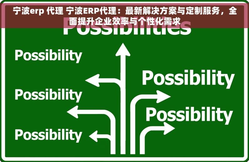 宁波erp 代理 宁波ERP代理：最新解决方案与定制服务，全面提升企业效率与个性化需求