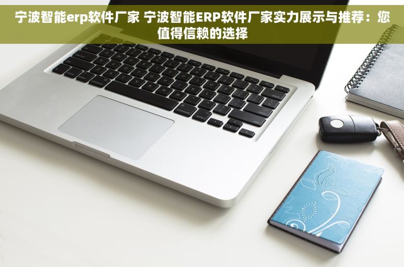 宁波智能erp软件厂家 宁波智能ERP软件厂家实力展示与推荐：您值得信赖的选择
