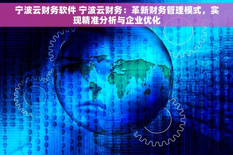 宁波云财务软件 宁波云财务：革新财务管理模式，实现精准分析与企业优化