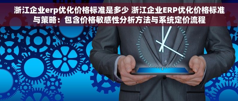 浙江企业erp优化价格标准是多少 浙江企业ERP优化价格标准与策略：包含价格敏感性分析方法与系统定价流程