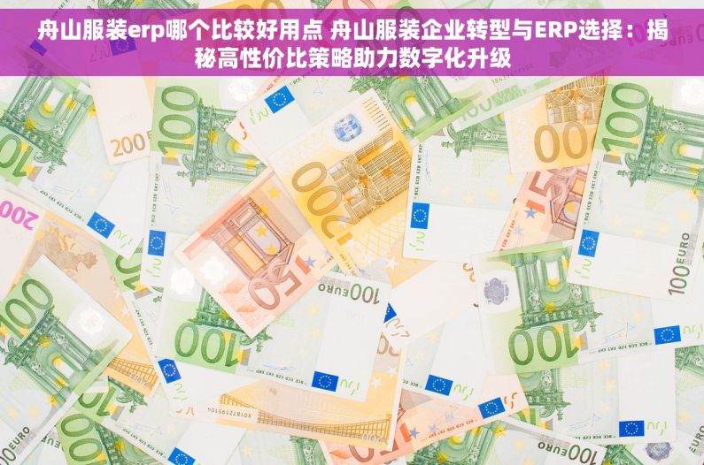 舟山服装erp哪个比较好用点 舟山服装企业转型与ERP选择：揭秘高性价比策略助力数字化升级