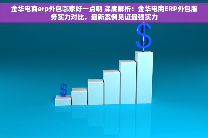 金华电商erp外包哪家好一点啊 深度解析：金华电商ERP外包服务实力对比，最新案例见证最强实力