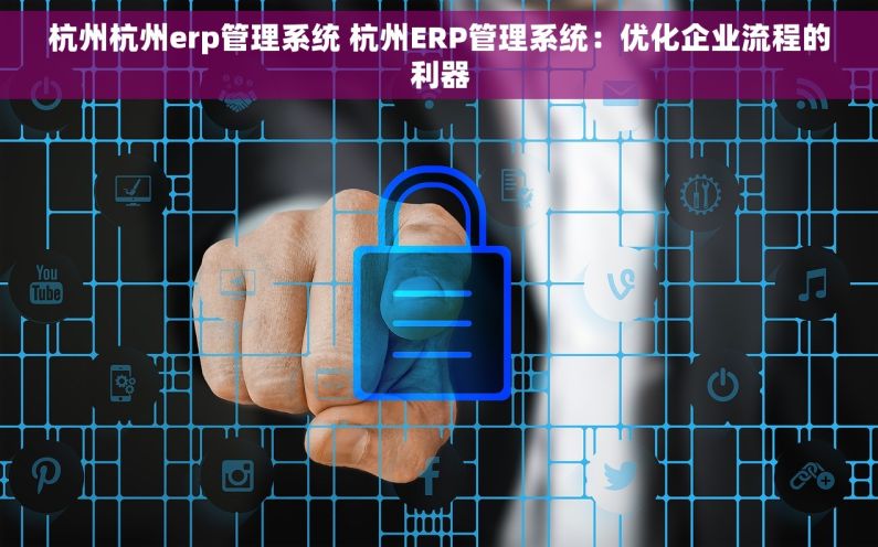 杭州杭州erp管理系统 杭州ERP管理系统：优化企业流程的利器