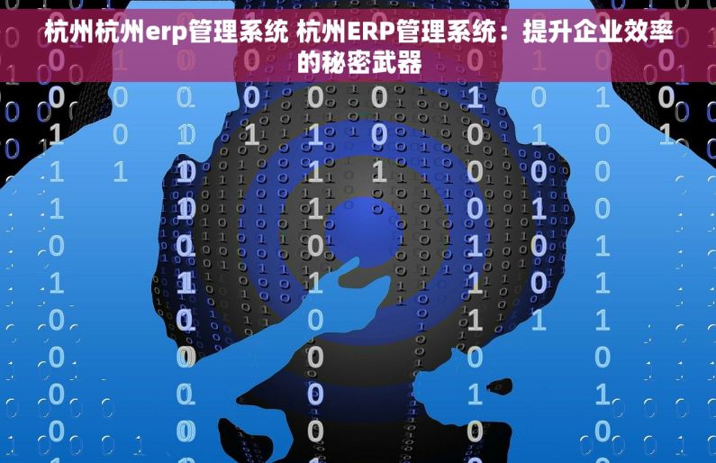 杭州杭州erp管理系统 杭州ERP管理系统：提升企业效率的秘密武器