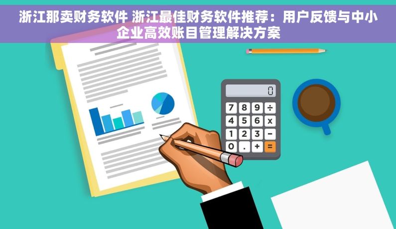 浙江那卖财务软件 浙江最佳财务软件推荐：用户反馈与中小企业高效账目管理解决方案