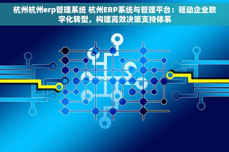 杭州杭州erp管理系统 杭州ERP系统与管理平台：驱动企业数字化转型，构建高效决策支持体系
