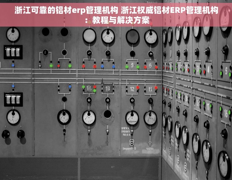 浙江可靠的铝材erp管理机构 浙江权威铝材ERP管理机构：教程与解决方案