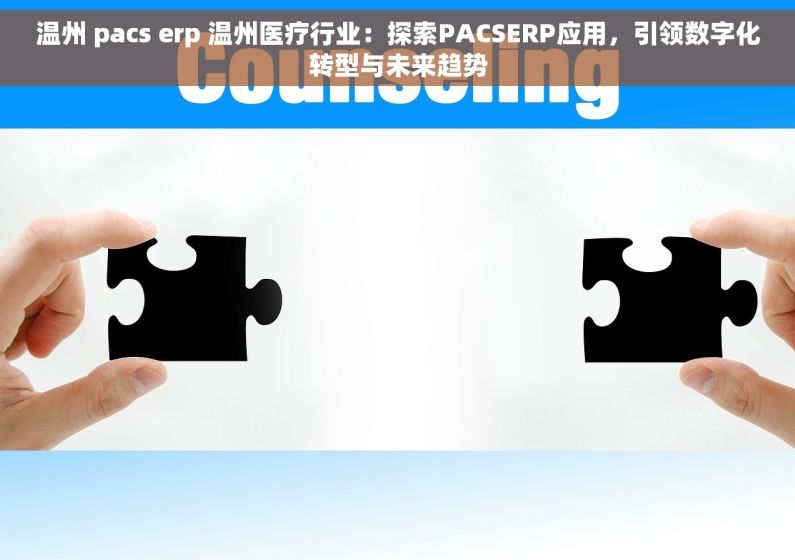 温州 pacs erp 温州医疗行业：探索PACSERP应用，引领数字化转型与未来趋势
