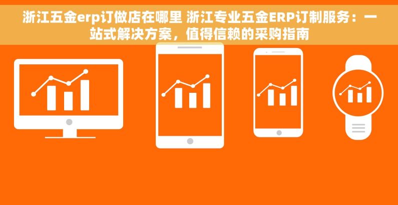 浙江五金erp订做店在哪里 浙江专业五金ERP订制服务：一站式解决方案，值得信赖的采购指南