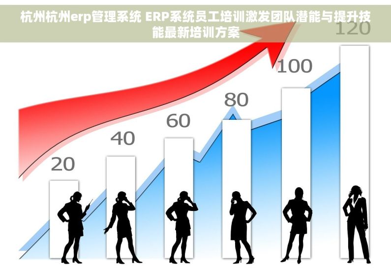 杭州杭州erp管理系统 ERP系统员工培训激发团队潜能与提升技能最新培训方案