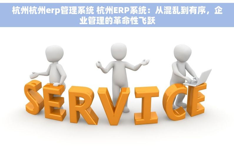 杭州杭州erp管理系统 杭州ERP系统：从混乱到有序，企业管理的革命性飞跃