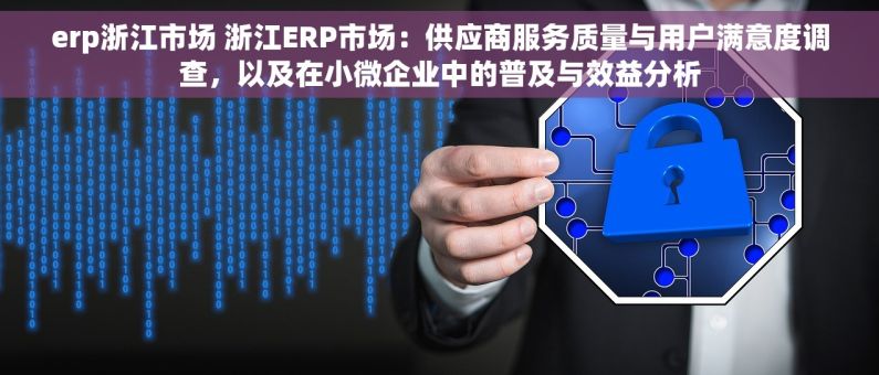 erp浙江市场 浙江ERP市场：供应商服务质量与用户满意度调查，以及在小微企业中的普及与效益分析