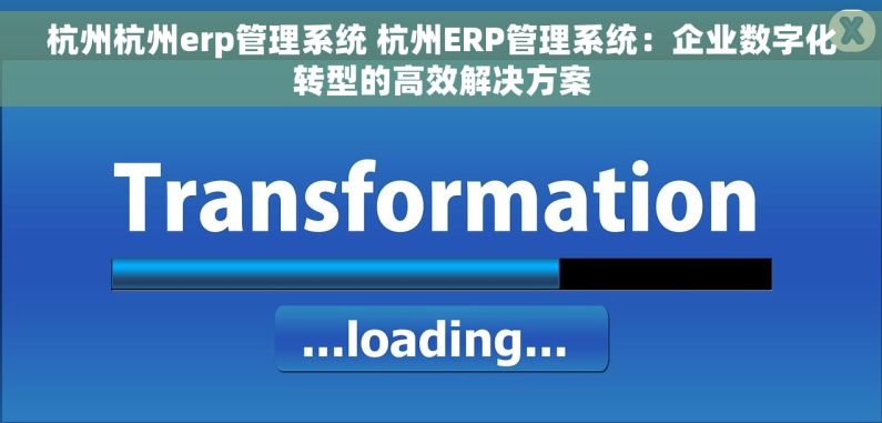 杭州杭州erp管理系统 杭州ERP管理系统：企业数字化转型的高效解决方案