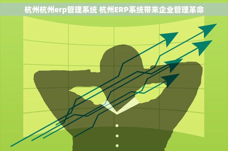 杭州杭州erp管理系统 杭州ERP系统带来企业管理革命