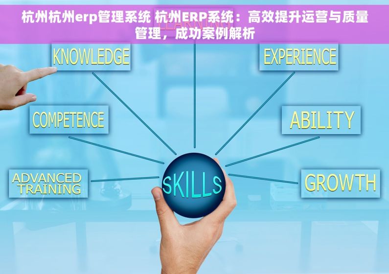 杭州杭州erp管理系统 杭州ERP系统：高效提升运营与质量管理，成功案例解析