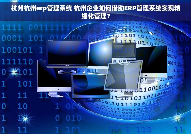 杭州杭州erp管理系统 杭州企业如何借助ERP管理系统实现精细化管理？