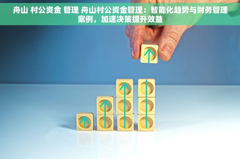 舟山 村公资金 管理 舟山村公资金管理：智能化趋势与财务管理案例，加速决策提升效益