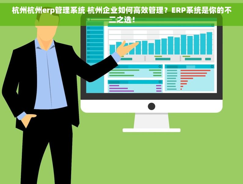 杭州杭州erp管理系统 杭州企业如何高效管理？ERP系统是你的不二之选！
