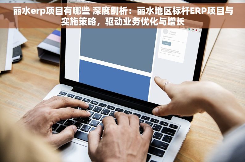 丽水erp项目有哪些 深度剖析：丽水地区标杆ERP项目与实施策略，驱动业务优化与增长