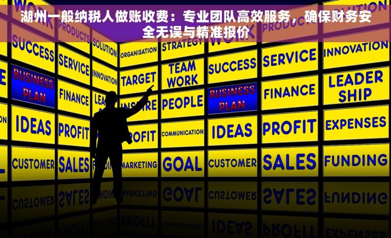 湖州一般纳税人做账收费：专业团队高效服务，确保财务安全无误与精准报价