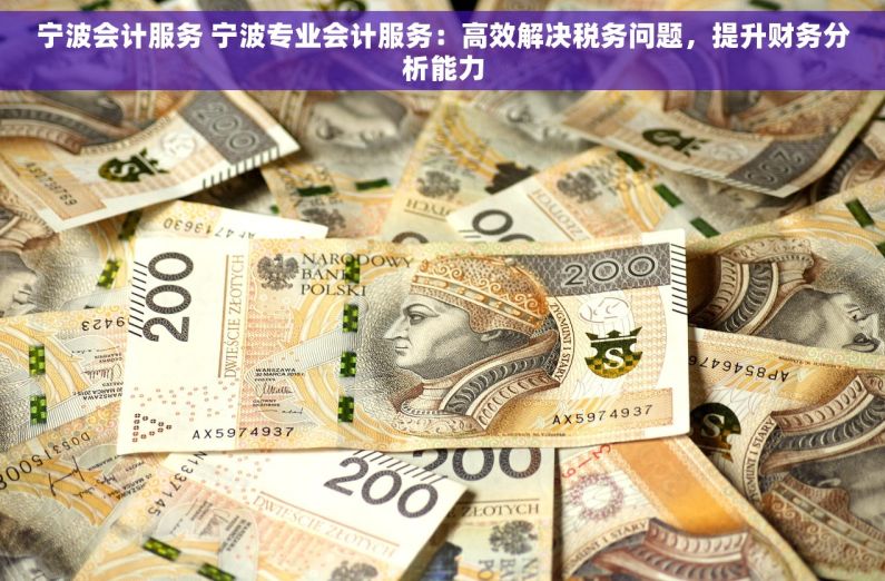 宁波会计服务 宁波专业会计服务：高效解决税务问题，提升财务分析能力