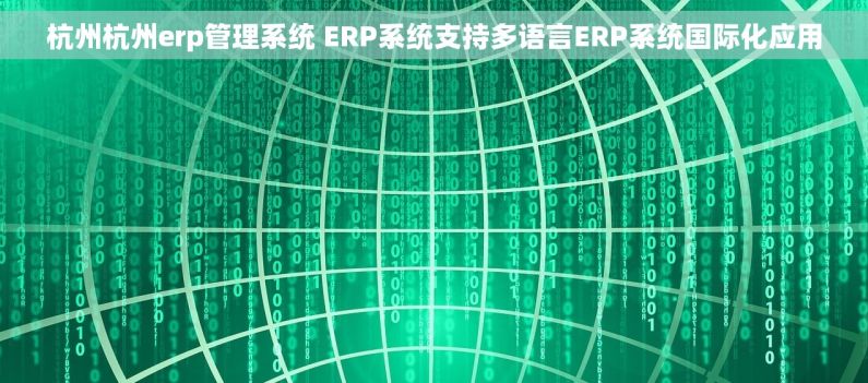 杭州杭州erp管理系统 ERP系统支持多语言ERP系统国际化应用