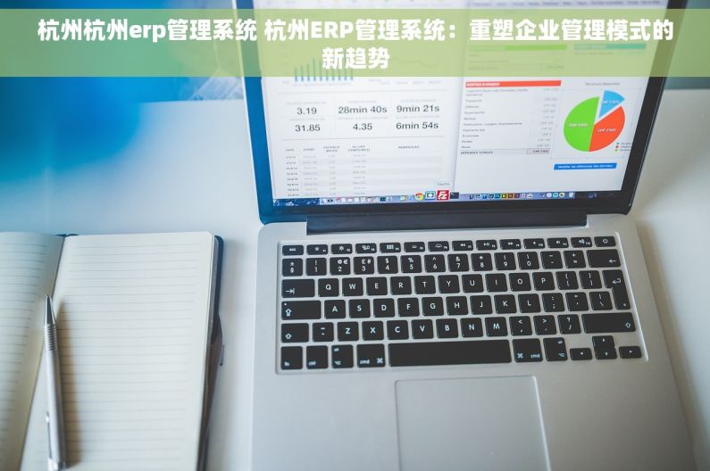 杭州杭州erp管理系统 杭州ERP管理系统：重塑企业管理模式的新趋势