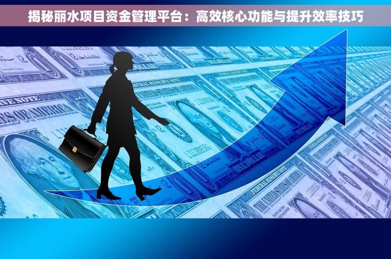 揭秘丽水项目资金管理平台：高效核心功能与提升效率技巧