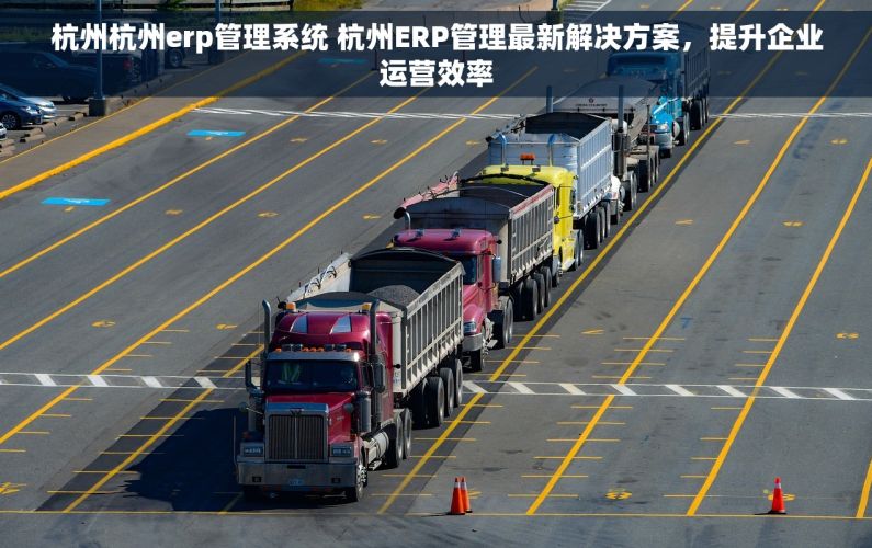 杭州杭州erp管理系统 杭州ERP管理最新解决方案，提升企业运营效率