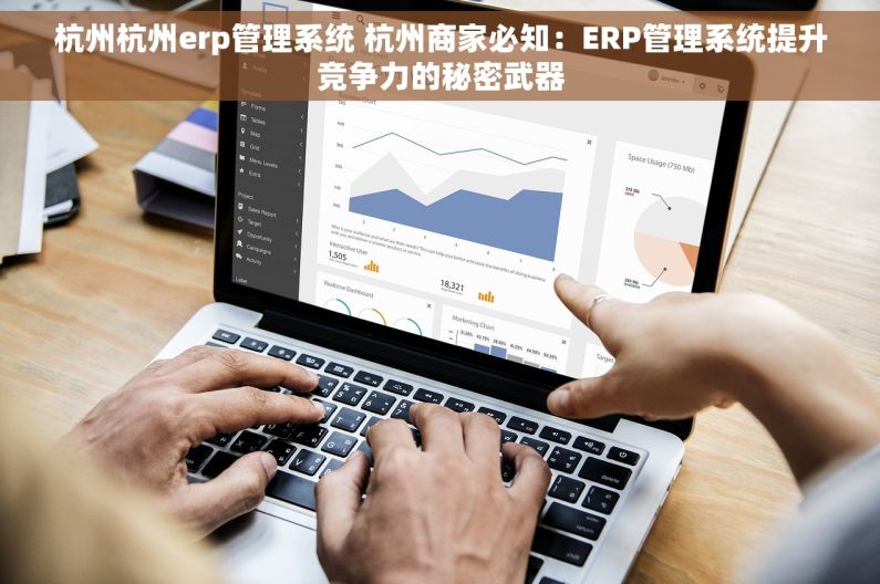 杭州杭州erp管理系统 杭州商家必知：ERP管理系统提升竞争力的秘密武器