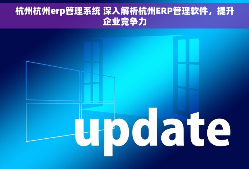 杭州杭州erp管理系统 深入解析杭州ERP管理软件，提升企业竞争力