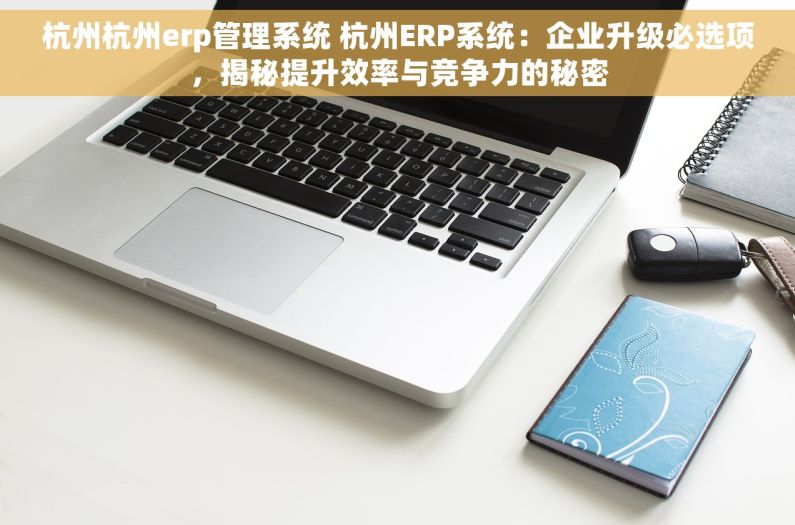 杭州杭州erp管理系统 杭州ERP系统：企业升级必选项，揭秘提升效率与竞争力的秘密
