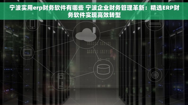宁波实用erp财务软件有哪些 宁波企业财务管理革新：精选ERP财务软件实现高效转型