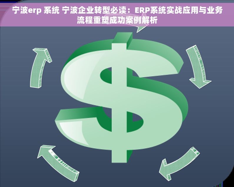 宁波erp 系统 宁波企业转型必读：ERP系统实战应用与业务流程重塑成功案例解析