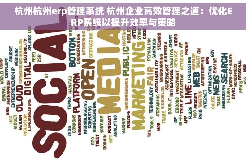 杭州杭州erp管理系统 杭州企业高效管理之道：优化ERP系统以提升效率与策略