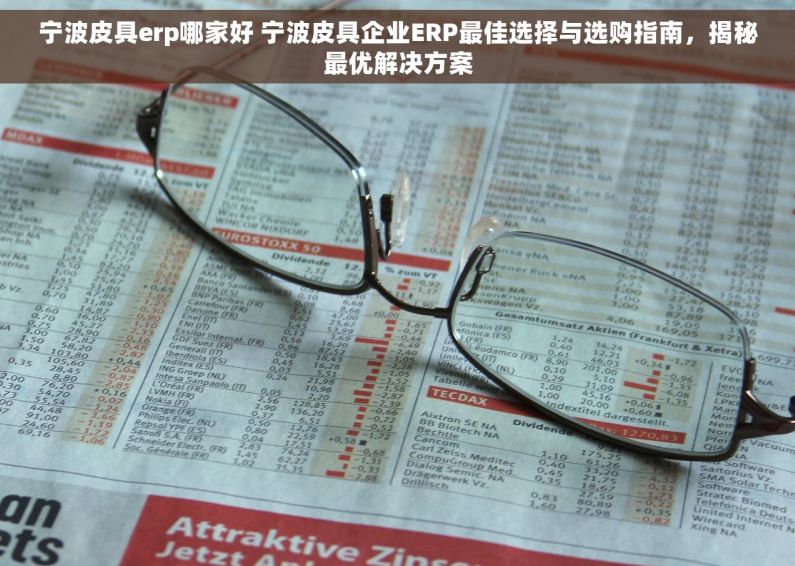 宁波皮具erp哪家好 宁波皮具企业ERP最佳选择与选购指南，揭秘最优解决方案