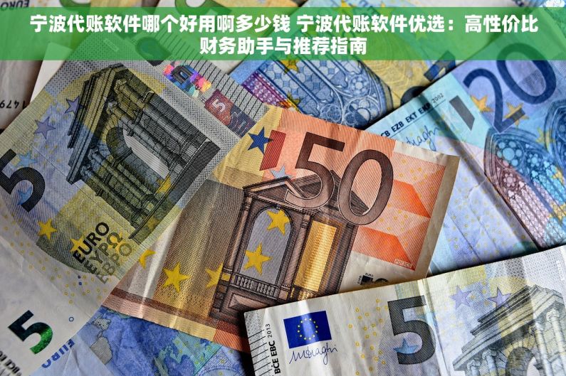 宁波代账软件哪个好用啊多少钱 宁波代账软件优选：高性价比财务助手与推荐指南