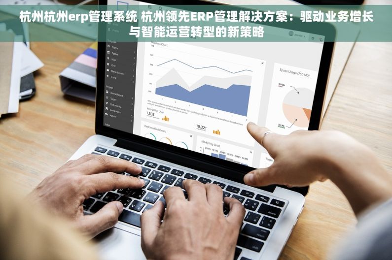 杭州杭州erp管理系统 杭州领先ERP管理解决方案：驱动业务增长与智能运营转型的新策略
