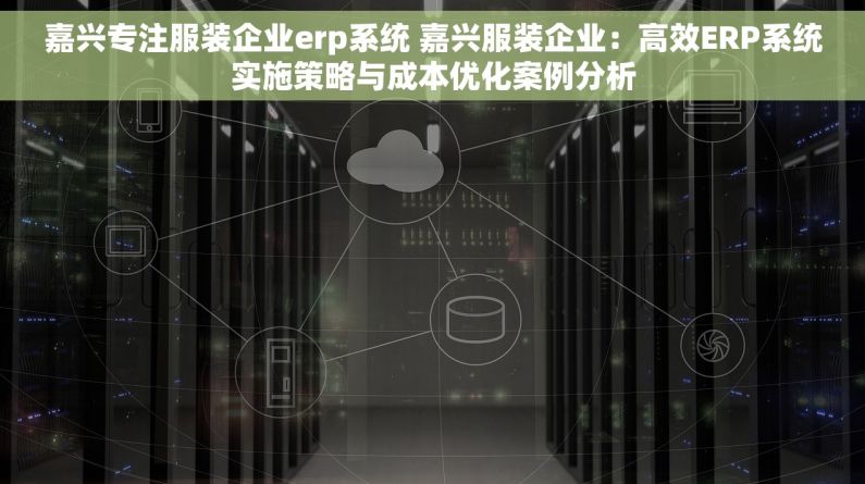嘉兴专注服装企业erp系统 嘉兴服装企业：高效ERP系统实施策略与成本优化案例分析