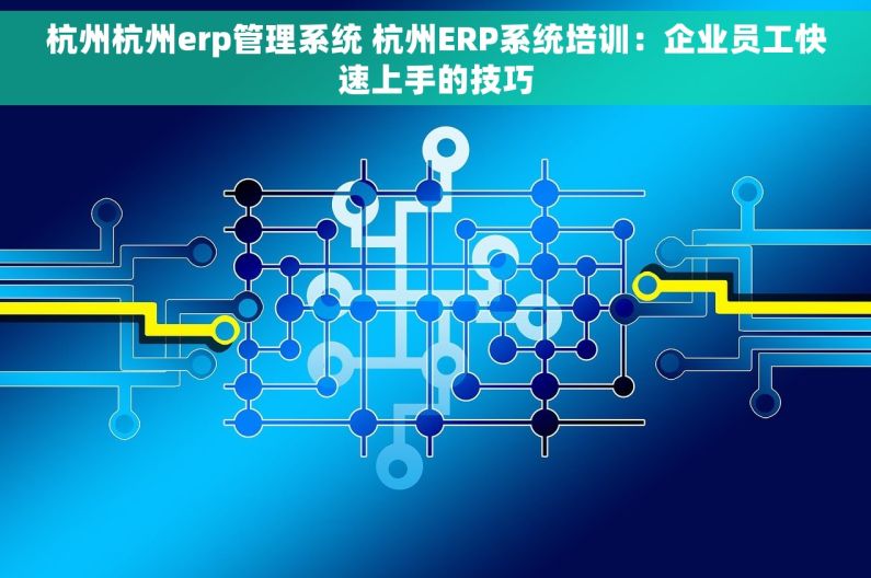 杭州杭州erp管理系统 杭州ERP系统培训：企业员工快速上手的技巧