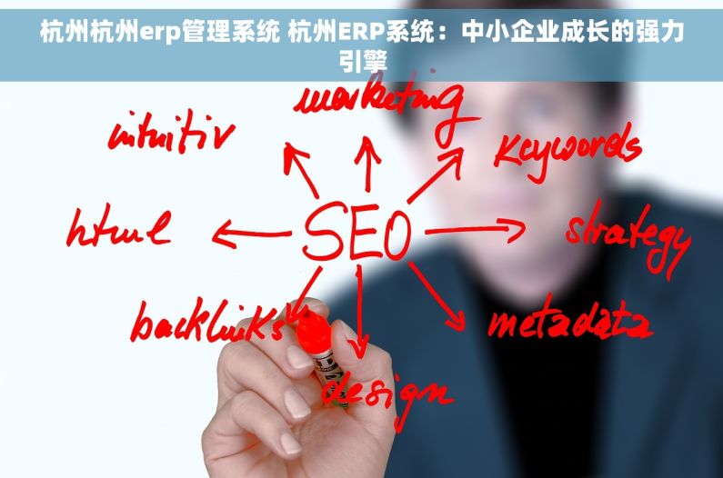 杭州杭州erp管理系统 杭州ERP系统：中小企业成长的强力引擎