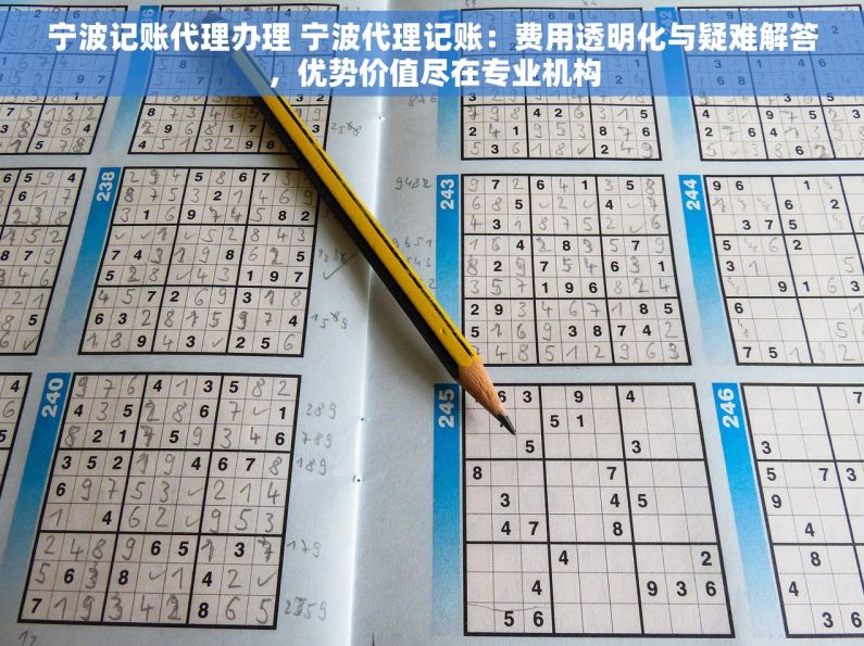 宁波记账代理办理 宁波代理记账：费用透明化与疑难解答，优势价值尽在专业机构