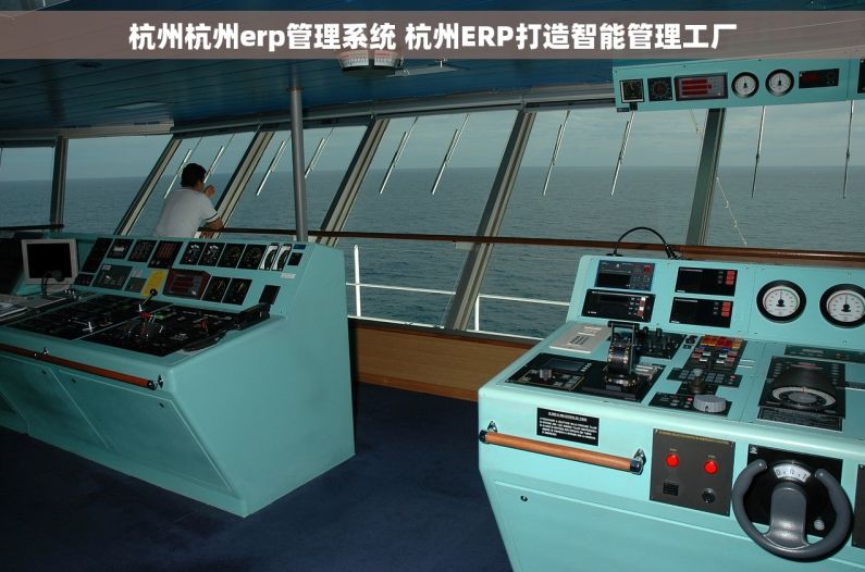 杭州杭州erp管理系统 杭州ERP打造智能管理工厂