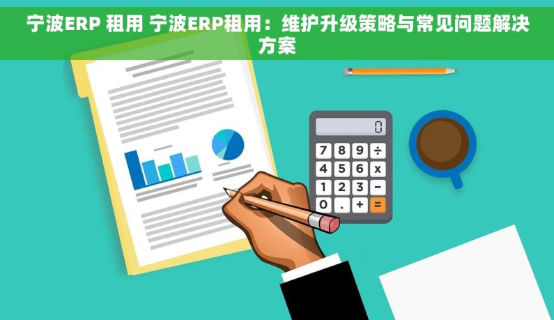 宁波ERP 租用 宁波ERP租用：维护升级策略与常见问题解决方案