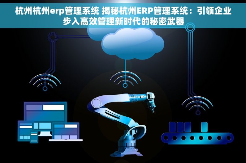 杭州杭州erp管理系统 揭秘杭州ERP管理系统：引领企业步入高效管理新时代的秘密武器