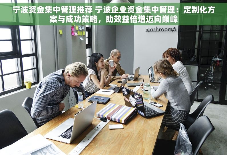 宁波资金集中管理推荐 宁波企业资金集中管理：定制化方案与成功策略，助效益倍增迈向巅峰