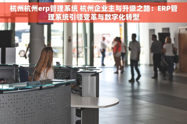 杭州杭州erp管理系统 杭州企业主与升级之路：ERP管理系统引领变革与数字化转型