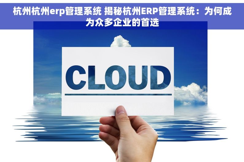 杭州杭州erp管理系统 揭秘杭州ERP管理系统：为何成为众多企业的首选