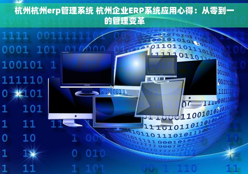 杭州杭州erp管理系统 杭州企业ERP系统应用心得：从零到一的管理变革
