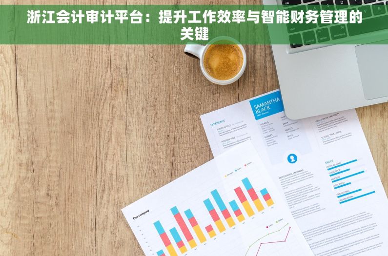 浙江会计审计平台：提升工作效率与智能财务管理的关键